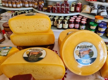 Queijos Possamai: empresa familiar há três gerações no mercado de laticínios, investe no crescimento de produção