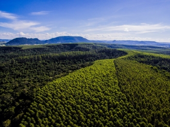 Eucatex é reconhecida no World Finance Sustainability Awards 2025 como referência em práticas sustentáveis