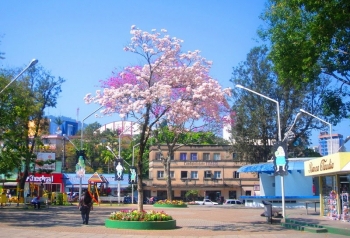 Nas vésperas da inauguração da primeira loja na cidade, Fort Atacadista promove