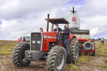 Cultivo de cereais de inverno cresce na região