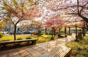 Gramado se prepara para novos tempos no setor turístico e mudança no perfil dos visitantes