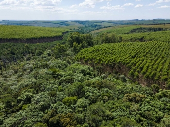 Klabin é destaque entre as Top 1% empresas mais sustentáveis, segundo o The Sustainability Yearbook 2025