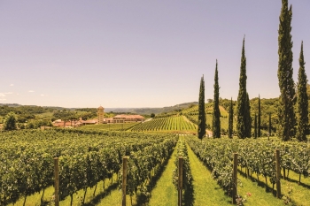 Novo roteiro 'Circuito do Vinho' faz imersão de seis dias em 14 vinícolas da Região Uva e Vinho