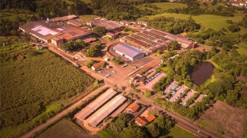 Empresa RIO chegará aos 80 anos com um bom motivo para comemorar: ter o consumo de energia total e comprovadamente renovável