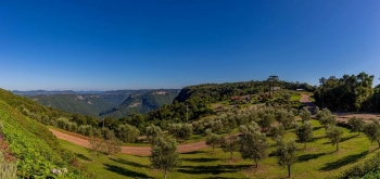 Novas atrações aguardam os visitantes do Olivas de Gramado na temporada de inverno