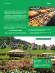 Revista Sucesso Gastronomia - Edição 04 | Página 33