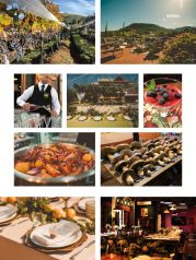 Revista Sucesso Gastronomia - Edição 04 | Página 17