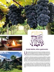 Revista Sucesso Gastronomia - Edição 04 | Página 8